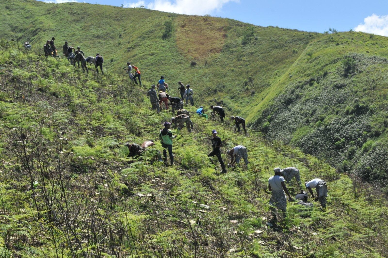 ministro-de-dfensa-reforestando-3