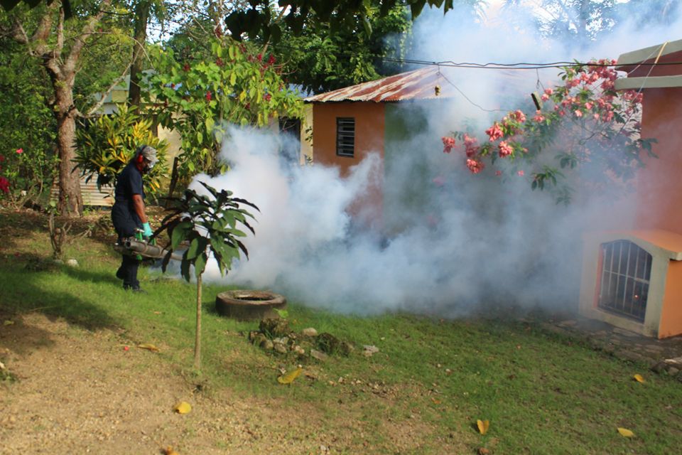 la-fard-fumigando